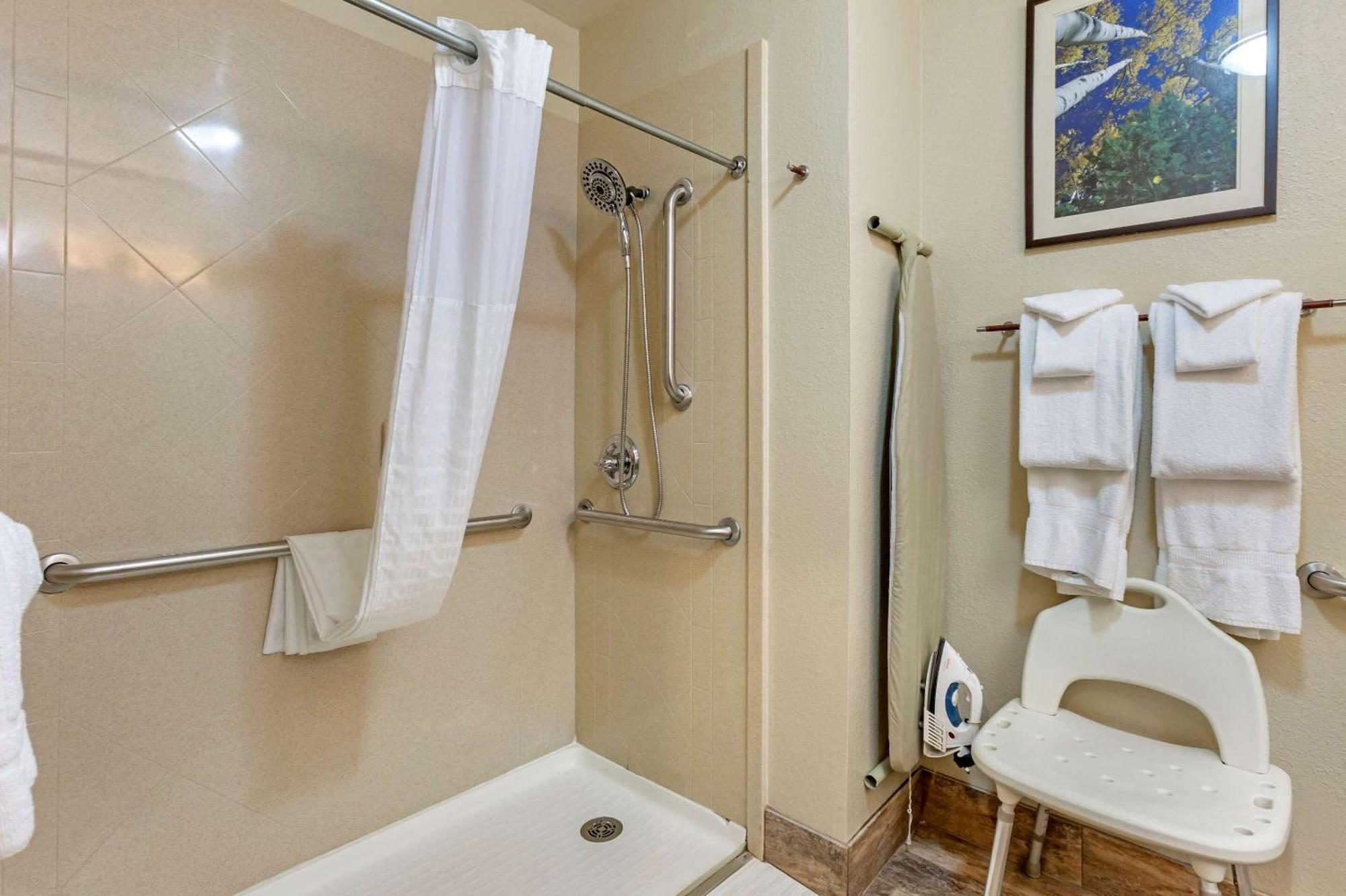 Queen Room Roll Shower Accessible or Non-Smoking